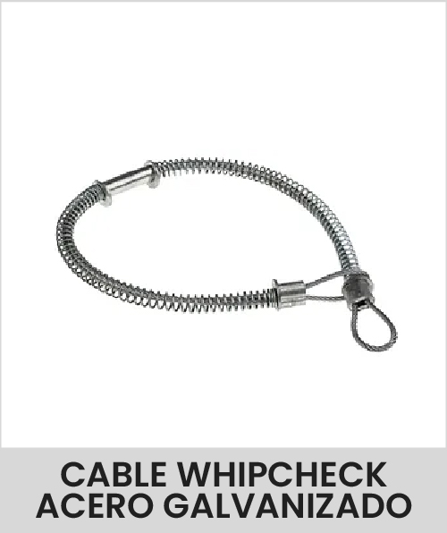 Descripción de la imagen